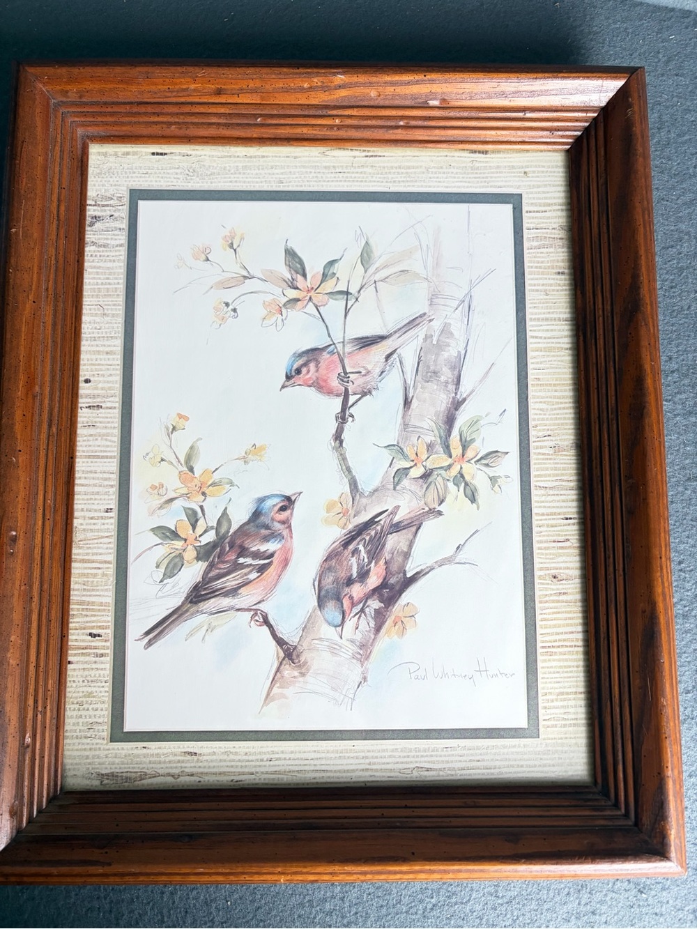 Vintage Paul Whitney Hunter Bird Print Framed Woodland Cottagecore Wall Art